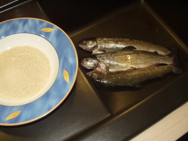 Rezept: Forelle al forno Bild Nr. 2 Forelle al forno - Rezept - Bild Nr. 2