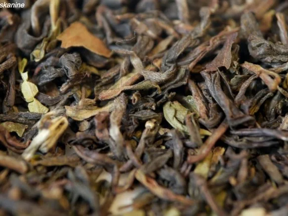 Créme Brulée mit Mandarinen und Schwarztee - Rezept - Bild Nr. 4