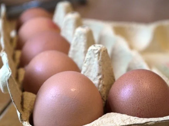 Créme Brulée mit Mandarinen und Schwarztee - Rezept - Bild Nr. 7