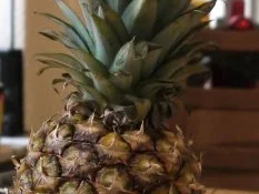 Rezept: Tarte Hawaii Bild Nr. 2 Tarte Hawaii - Rezept - Bild Nr. 2