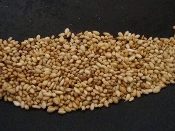 Kohlrabi-Möhren Süppchen mit geröstetem Sesam - Rezept - Bild Nr. 9