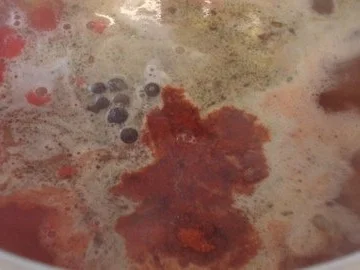 Rezept: Tomaten-Sauerkrautsuppe Bild Nr. 7 Tomaten-Sauerkrautsuppe - Rezept - Bild Nr. 7