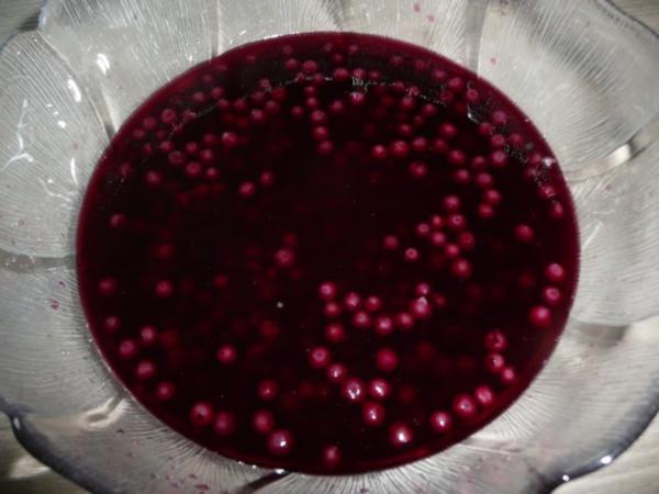 Grießbrei &amp; Heidelbeeren - schnell &amp; einfach - 77 kcal/100g