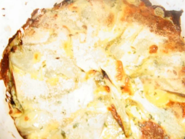 Rezept: Chicoree überbacken Bild Nr. 8 Chicoree überbacken - Rezept - Bild Nr. 8