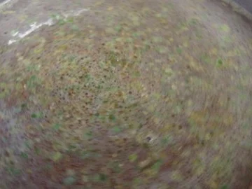 Bayerische Brezensuppe - Rezept - Bild Nr. 3