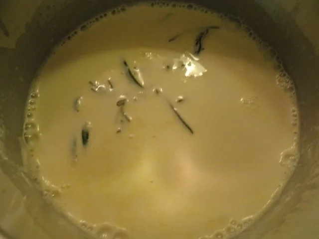 Rosmarin - Panna Cotta ... - Rezept - Bild Nr. 6