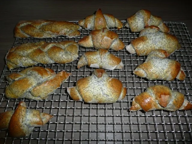 Mohn- Varianten Ca 20 Stück - Rezept