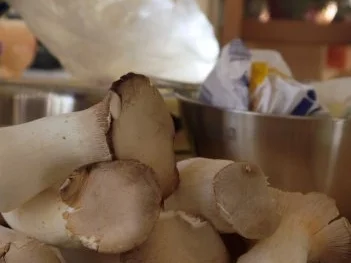 Kräuterseitlings-.Caramellen mit Salbei-Butter - Rezept - Bild Nr. 4