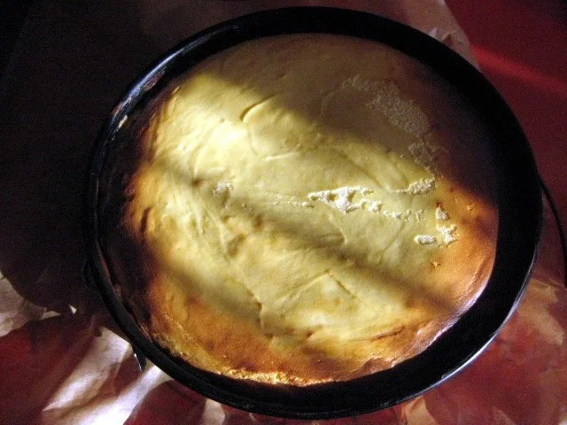 Rezept: Quark - Torte mit zwei Sorten Weintrauben Bild Nr. 12 Quark - Torte mit zwei Sorten Weintrauben - Rezept - Bild Nr. 12