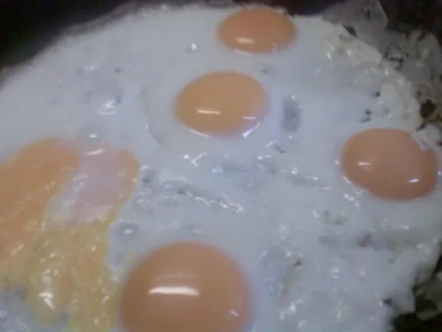 Rezept: Bayrisch und sonst nix Bild Nr. 5 Bayrisch und sonst nix - Rezept - Bild Nr. 5