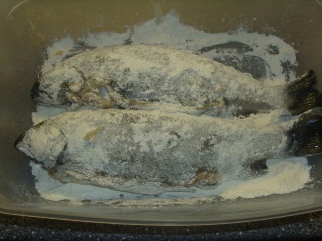 Forelle Müllerin - Rezept - Bild Nr. 3