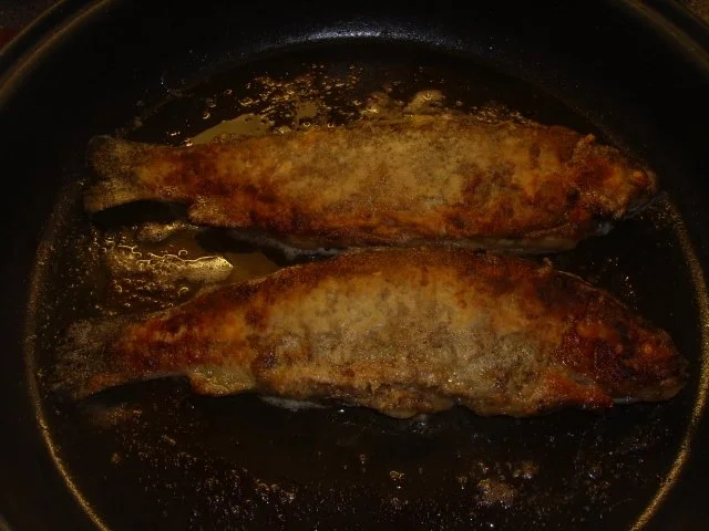 Forelle Müllerin - Rezept - Bild Nr. 4