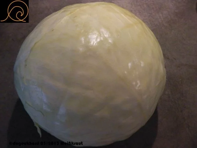 Rezept: Traditionelle österreichische Krautrouladen / Kohlrouladen Bild Nr. 4 Traditionelle österreichische Krautrouladen / Kohlrouladen - Rezept - Bild Nr. 4