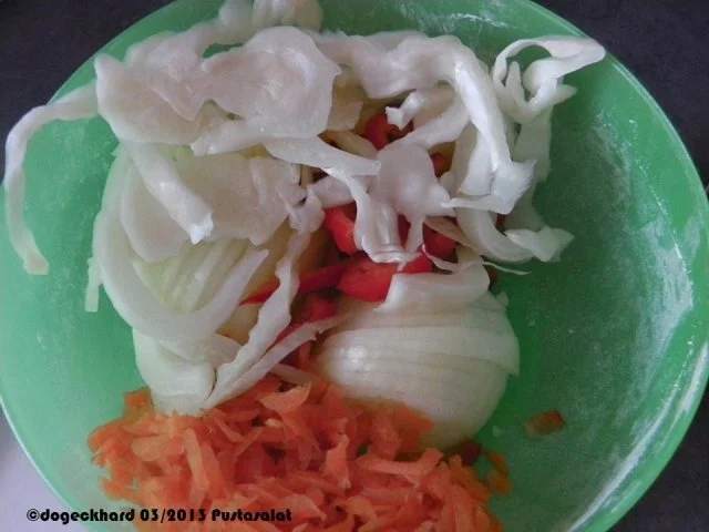 Rezept: ungarischer hausgemachter, eingemachter Pustasalat Bild Nr. 3 ungarischer hausgemachter, eingemachter Pustasalat - Rezept - Bild Nr. 3