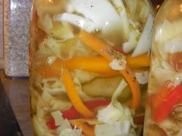 Rezept: ungarischer hausgemachter, eingemachter Pustasalat Bild Nr. 10 ungarischer hausgemachter, eingemachter Pustasalat - Rezept - Bild Nr. 10