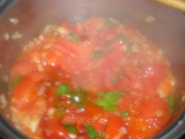 Rezept: Paradeissuppe (Tomatensuppe) Bild Nr. 4 Paradeissuppe (Tomatensuppe) - Rezept - Bild Nr. 4