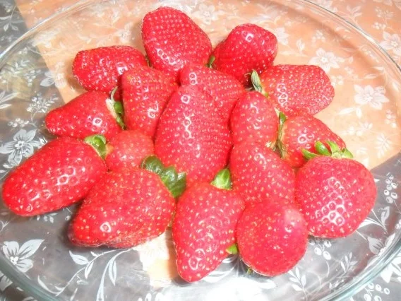 scharfe früchtchen mit käsecreme - Rezept - Bild Nr. 3