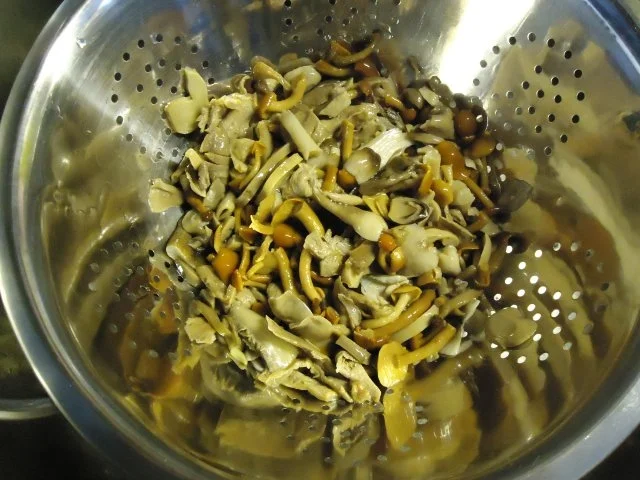 Rezept: Nackensteak-Pilz-Nudeltopf Bild Nr. 5 Nackensteak-Pilz-Nudeltopf - Rezept - Bild Nr. 5