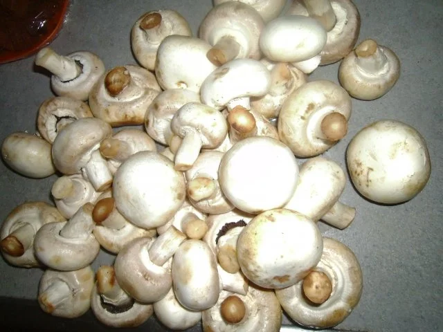 Rezept: Champignoncremesuppe Bild Nr. 2 Champignoncremesuppe - Rezept - Bild Nr. 2