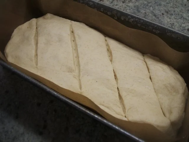 Brot/Brötchen: Pane Phantasia - Rezept - Bild Nr. 6