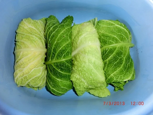 Wirsing-Kartoffelröllchen - Rezept - Bild Nr. 5