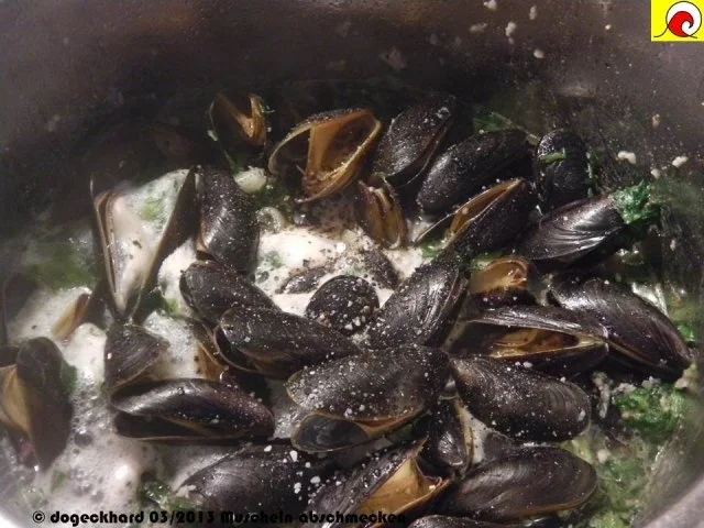 Rezept: Blåmuslinger (Miesmuscheln) fra Limfjorden på rodfrugt fond med grøntsager og krebsehaler Bild Nr. 12 Blåmuslinger (Miesmuscheln) fra Limfjorden på rodfrugt fond med grøntsager og krebsehaler - Rezept - Bild Nr. 12