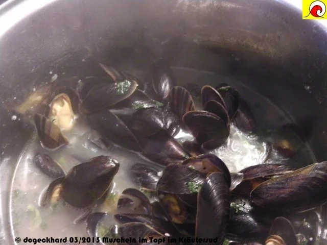 Rezept: Blåmuslinger (Miesmuscheln) fra Limfjorden på rodfrugt fond med grøntsager og krebsehaler Bild Nr. 13 Blåmuslinger (Miesmuscheln) fra Limfjorden på rodfrugt fond med grøntsager og krebsehaler - Rezept - Bild Nr. 13