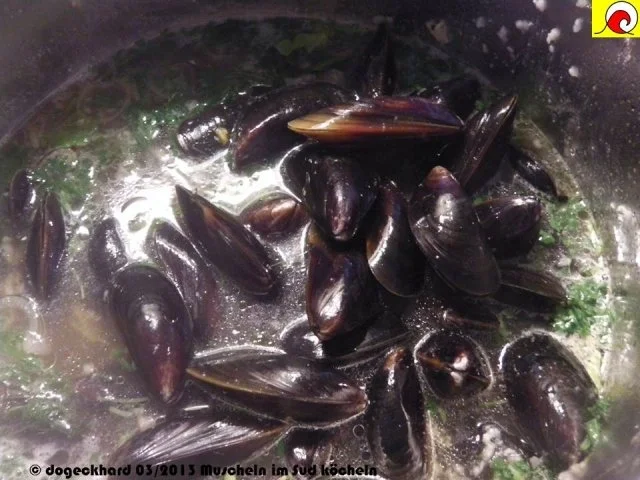 Rezept: Blåmuslinger (Miesmuscheln) fra Limfjorden på rodfrugt fond med grøntsager og krebsehaler Bild Nr. 10 Blåmuslinger (Miesmuscheln) fra Limfjorden på rodfrugt fond med grøntsager og krebsehaler - Rezept - Bild Nr. 10