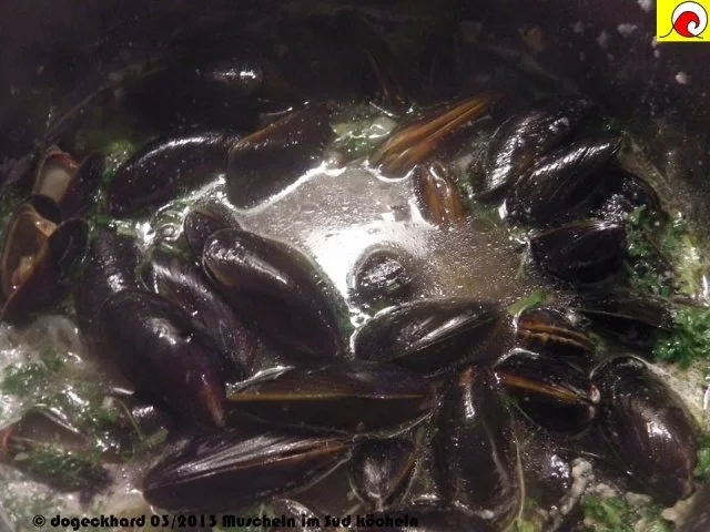 Rezept: Blåmuslinger (Miesmuscheln) fra Limfjorden på rodfrugt fond med grøntsager og krebsehaler Bild Nr. 11 Blåmuslinger (Miesmuscheln) fra Limfjorden på rodfrugt fond med grøntsager og krebsehaler - Rezept - Bild Nr. 11