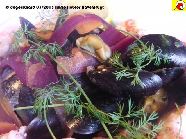 Rezept: Blåmuslinger (Miesmuscheln) fra Limfjorden på rodfrugt fond med grøntsager og krebsehaler Bild Nr. 2 Blåmuslinger (Miesmuscheln) fra Limfjorden på rodfrugt fond med grøntsager og krebsehaler - Rezept - Bild Nr. 2