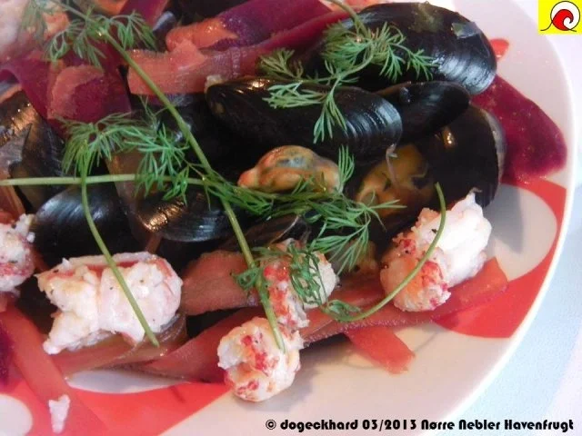 Rezept: Blåmuslinger (Miesmuscheln) fra Limfjorden på rodfrugt fond med grøntsager og krebsehaler Bild Nr. 15 Blåmuslinger (Miesmuscheln) fra Limfjorden på rodfrugt fond med grøntsager og krebsehaler - Rezept - Bild Nr. 15