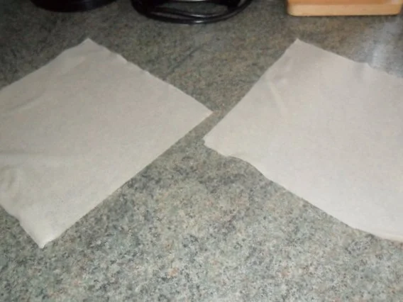 wan tan gefüllt mit lachs - Rezept - Bild Nr. 3