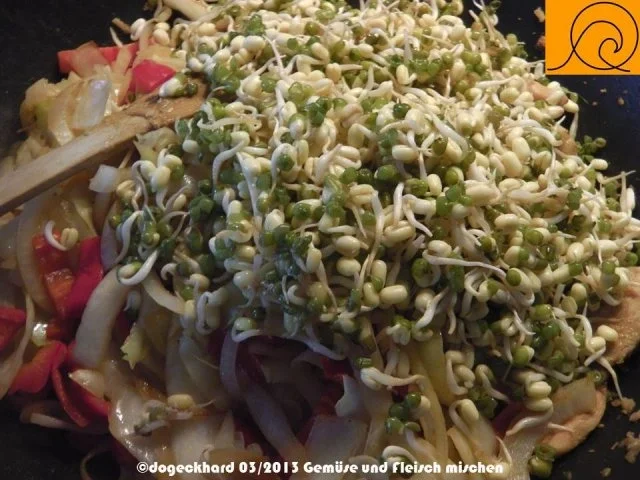 Teriyaki Hühnerfleisch mit Kraut aus dem Wok - Rezept - Bild Nr. 8