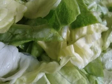 Rezept: Kopfsalatsüppchen mit Minz-Erbsen Garnitur Bild Nr. 5 Kopfsalatsüppchen mit Minz-Erbsen Garnitur - Rezept - Bild Nr. 5