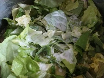 Rezept: Kopfsalatsüppchen mit Minz-Erbsen Garnitur Bild Nr. 11 Kopfsalatsüppchen mit Minz-Erbsen Garnitur - Rezept - Bild Nr. 11