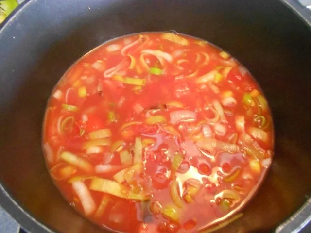 Rezept: Tomaten-Lauchsuppe Bild Nr. 4 Tomaten-Lauchsuppe - Rezept - Bild Nr. 4