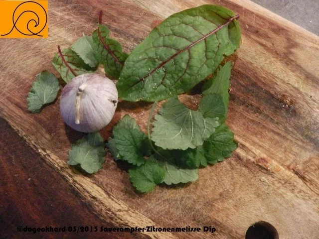 Sauerampfer-Zitronenmelisse "SaZi (c)" Dip à la Gedoc - Rezept - Bild Nr. 2