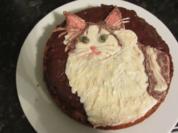 kleiner Mandel-Schokoladenkuchen - Rezept