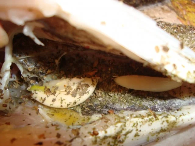 Dorade aus dem Backofen mit Zitronensauce - Rezept - Bild Nr. 2