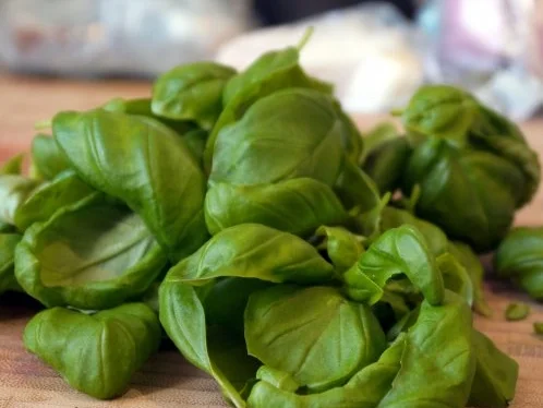 Spaghetti mit Möhren-Basilikum-Sauce - Rezept - Bild Nr. 5