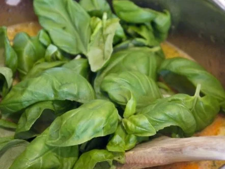 Spaghetti mit Möhren-Basilikum-Sauce - Rezept - Bild Nr. 9