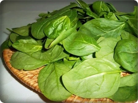 Eikörbchen auf Spinat und Kartoffelbett - Rezept - Bild Nr. 5