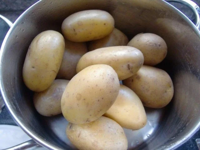 Rezept: Schnitzel mit Kartoffelsalat à la Heiko Bild Nr. 5 Schnitzel mit Kartoffelsalat à la Heiko - Rezept - Bild Nr. 5