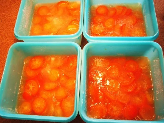 Rezept: Kumquat (Zwergorangen) im Tiefkühl-Schlaf ... Bild Nr. 5 Kumquat (Zwergorangen) im Tiefkühl-Schlaf ... - Rezept - Bild Nr. 5