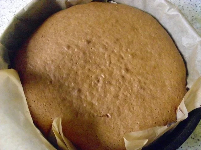 Kokostorte - Rezept - Bild Nr. 10