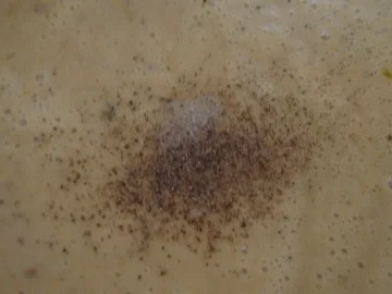 Rezept: Kartoffel-Steinpilzsuppe mit Tomaten Topping Bild Nr. 10 Kartoffel-Steinpilzsuppe mit Tomaten Topping - Rezept - Bild Nr. 10