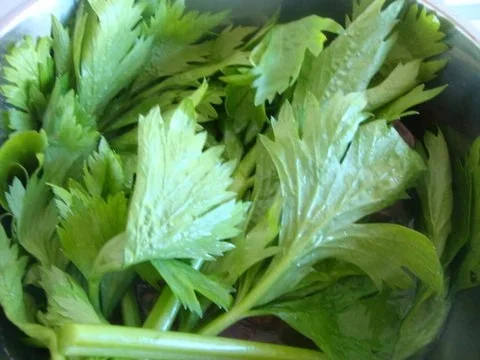 "Pot au Feu" nach SuppenGeniesser Art - Rezept - Bild Nr. 7