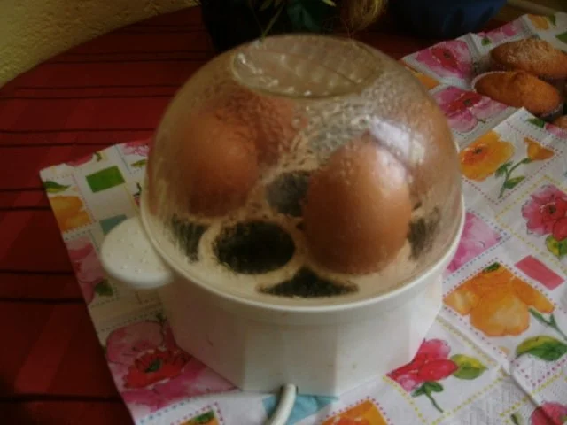 Eierragout mit Reis - Rezept - Bild Nr. 4