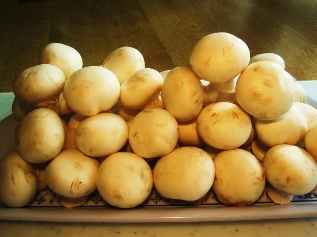 Champignon-Köpfchen in einer köstlichen Rahmsoße - Rezept - Bild Nr. 2