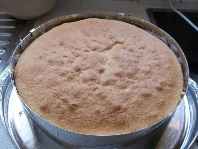 Käsesahnetorte - Rezept - Bild Nr. 9